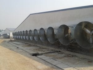 54 inch cone fan at Jiangsu Yi Sheng - 1